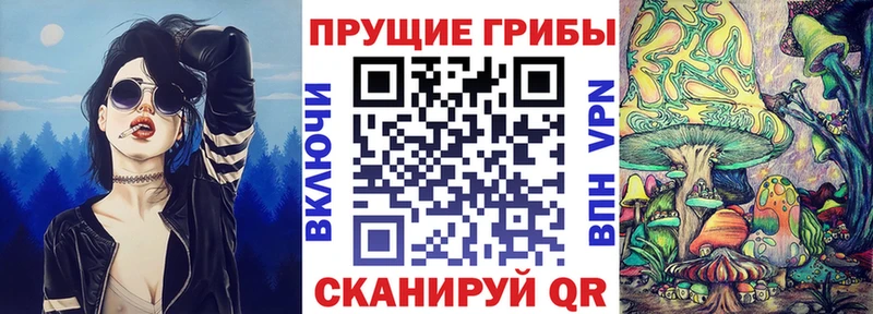 Галлюциногенные грибы Psilocybe Пучеж